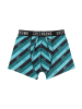 GreenBomb Trunk Bike Stripes in Mix Blau