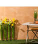 Atmosphera Créateur d'intérieur Kunstblumenstrauß in grün