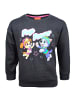 Paw Patrol Sweatshirt Paw Patrol Skye in Grau