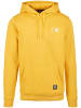 STARTER STARTER Kapuzenpullover in golden