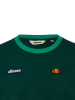 ellesse T-Shirt Ringetto in grün