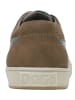 Dogo Cord Sneaker - Life Is Betta With You 39 in Mehrfarbig