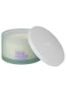 Butlers Butlers Duftkerze MELLOW MOOD True Pacific Love in Mint