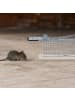 relaxdays 2 x Lebendfalle Mäuse - (B)16 x (H)7 x (T)6,5 cm