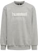 Hummel Trainingsanzug Hmlnew Spring Tracksuit in LIGHT GREY MELANGE