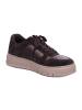 Tamaris Schnürschuhe in MOCCA METALLIC