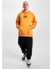 Puma Puma Kapuzenpullover in orange