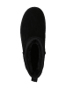 VAN HILL Plateau Boots Allison in Schwarz