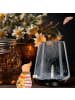 Mr. & Mrs. Panda Kerzenhalter Glas Löwe Astrologie ohne Spruch in Transparent