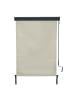 MCW Vertikalmarkise F42, 250x100cm, creme-beige