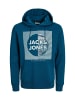 Jack & Jones Hoodie 'Stein' in blau