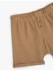 KOTON Shorts in Braun