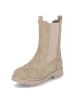 Indigo Chelsea Boots in Taupe