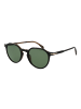 David Beckham Männer Sonnenbrille Panto Schwarz