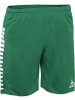 Select Sporthose "Argentina Hose" in Grün
