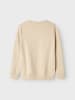 name it Sweatshirt in Peyote