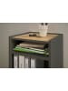 Furn.Design Standcontainer Grau, Eiche Wotan 40 x 70 cm, Aktenregal mit 3 Fächern