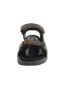 Camel Active Sandale Braun