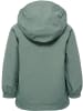 Hummel Hummel Jacke Hmlmojo Kinder Wasserabweisend Und Windabweisend in LAUREL WREATH