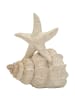Mauro Ferretti Beigefarbene, seesternförmige Kunstharzskulptur, 18 x 13 x 21,2 cm