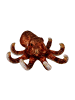 Coppenrath Kuscheltier Oktopus - Nature Zoom Wild, ab 6 Jahre
