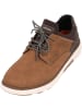 rieker Sneakers Low in brown/schoko/braun