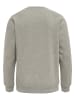 Hummel Sweatshirt Raglanärmel Hmlred Herren in GREY MELANGE