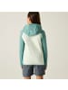 Regatta Hybrid Softshelljacke Andreson in Hellgrün