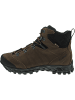 AKU Coldai NBK GTX Wanderstiefel Braun