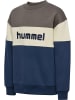 Hummel Sweatshirt Hmljr Loose Lebensstil Kinder in DARK GULL GRAY