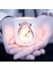 Mr. & Mrs. Panda Windlicht Chinchilla Blume ohne Spruch in Transparent