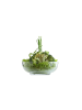 COFI 1453 LAV Tokyo Schale aus hochwertigem Glas 1,5 L - Robust & Vielseitig in Transparent