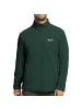 Jack Wolfskin Fleecepullover Taunus 100 Half-Zip in Dunkelgrün