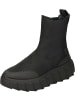 Apple of Eden Freizeit Stiefeletten in black