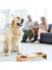 relaxdays Hunde-Futterstation in Natur/ Weiß- (B)46,5 x (H)9,5 x (T)17 cm