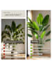 tectake Künstlicher Paradiesvogelbaum Tropic stabiler Kunststoff-Blumentopf, grün