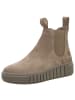 Tamaris Stiefelette in braun