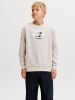 JACK & JONES Junior Sweatshirt in Dove