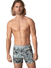 Muchachomalo 4er-Set: Boxershort in Mehrfarbig - für Herren
