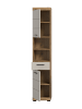 ebuy24 Hochschrank Scout Kaschmir 37 x 31 cm