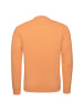 Champion Sweatshirt Crewneck in orange