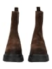 BLAUER USA Stiefelette in Dunkelbraun