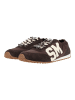 Steve Madden Sneaker CASHBOX in Braun/Weiß