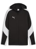 Puma Jacke "TeamEVOSTRIPE Hooded Jacket" in Schwarz