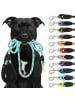 Reichstadt RS Pets Hundeleine Nylon in Turquoise