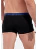 HOM Retro Short / Pant Terry in Schwarz