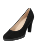 Gabor Pumps in Schwarz