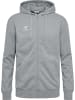 Hummel Zip Hoodie mit Logo-Stickerei und Reißverschluss in Grau