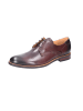 DIGEL Schnürschuhe Elegant in braun