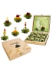 Creano 2er Set 12er Holzpräsentboxen ErblühTee Grüner + Weißer Tee 
